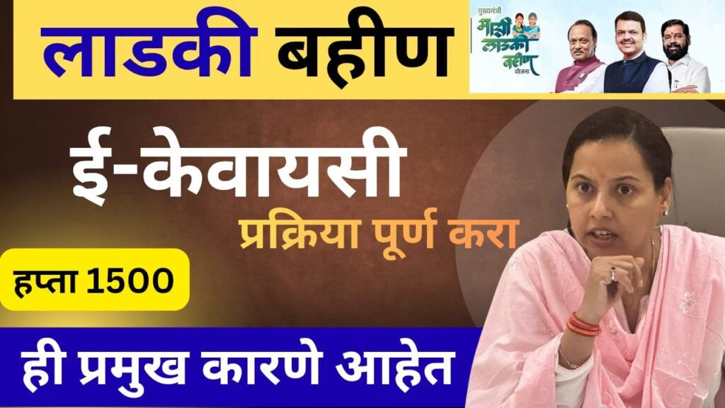 WhatsApp Image 2025 11 09 at 12.51.46 PM