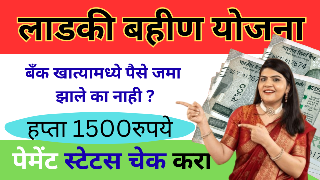 payment status check